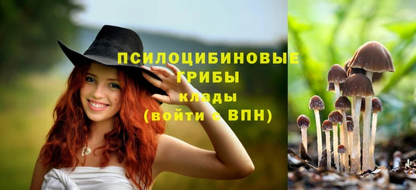 спайс Абдулино