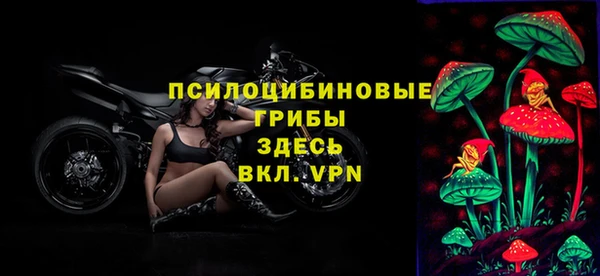 спайс Абдулино
