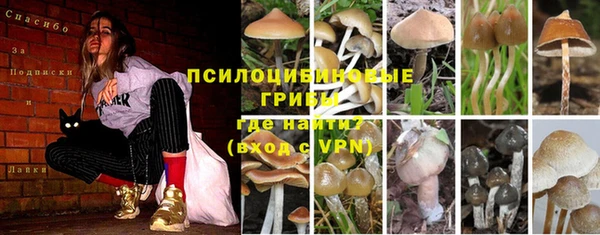 спайс Абдулино