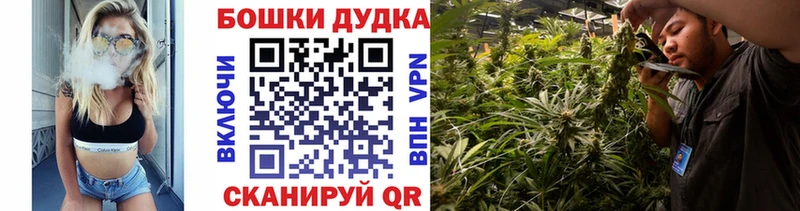 Каннабис планчик  blacksprut маркетплейс  Кировград 